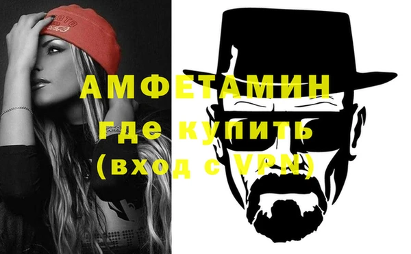 стаф Новозыбков