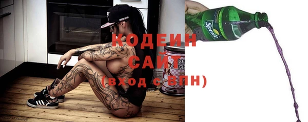 молекула духа Новодвинск