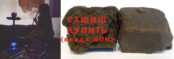 стаф Новозыбков