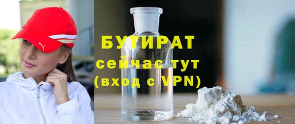 стаф Новозыбков