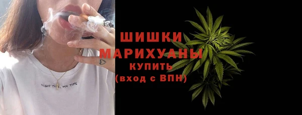 стаф Новозыбков