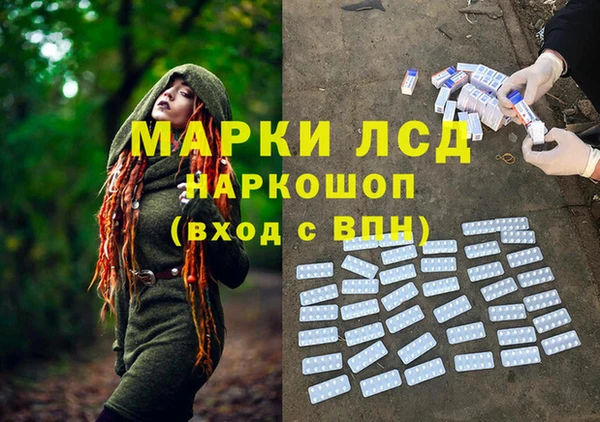 молекула духа Новодвинск