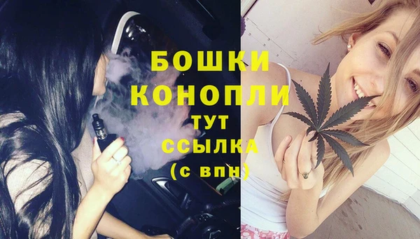 2c-b Нязепетровск