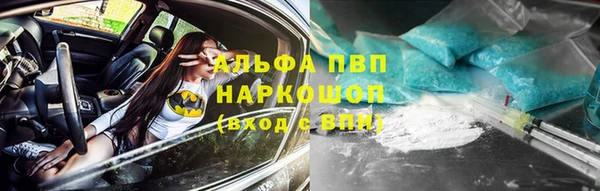стаф Новозыбков