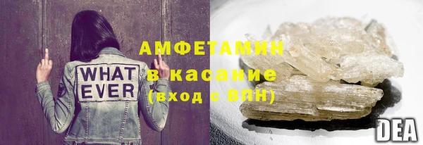 стаф Новозыбков