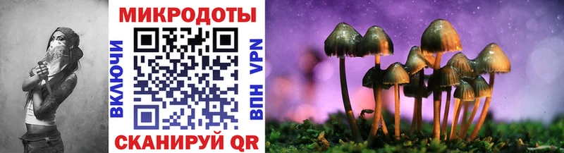 Купить закладки  Кизел  Галлюциногенные грибы ЛСД 